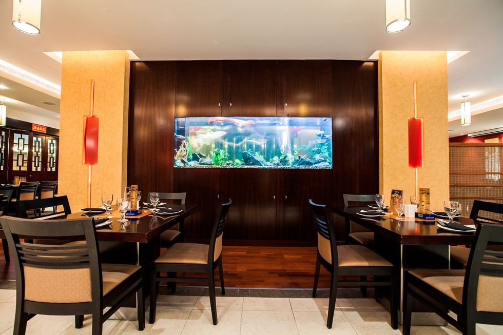 CITYMAX HOTEL - BUR DUBAI  - 9