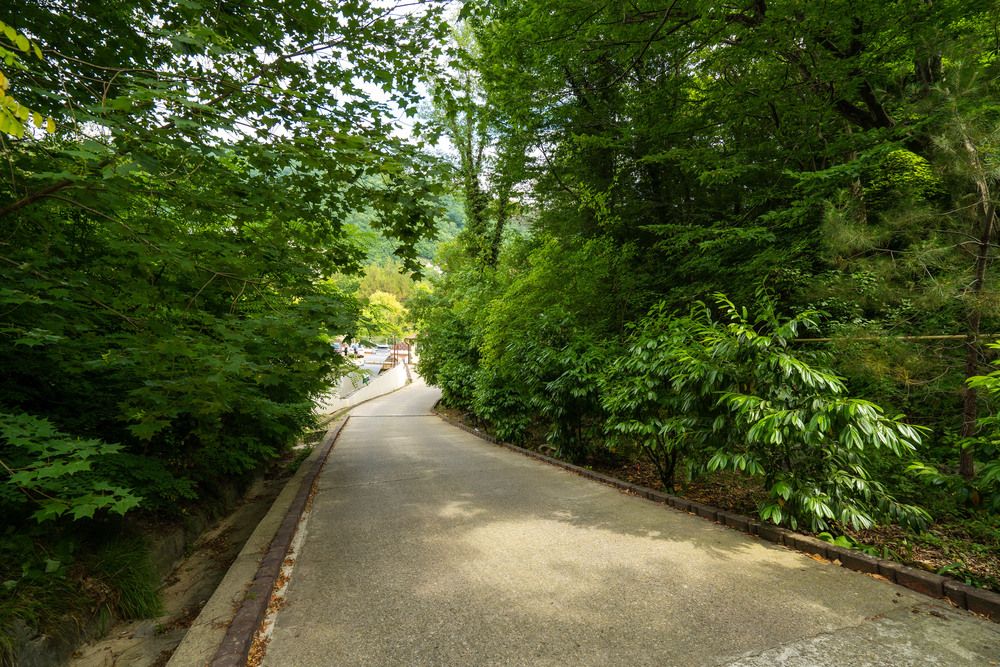 ГРЕЙС НЕБУГ КАЛИПСО, отель - 35