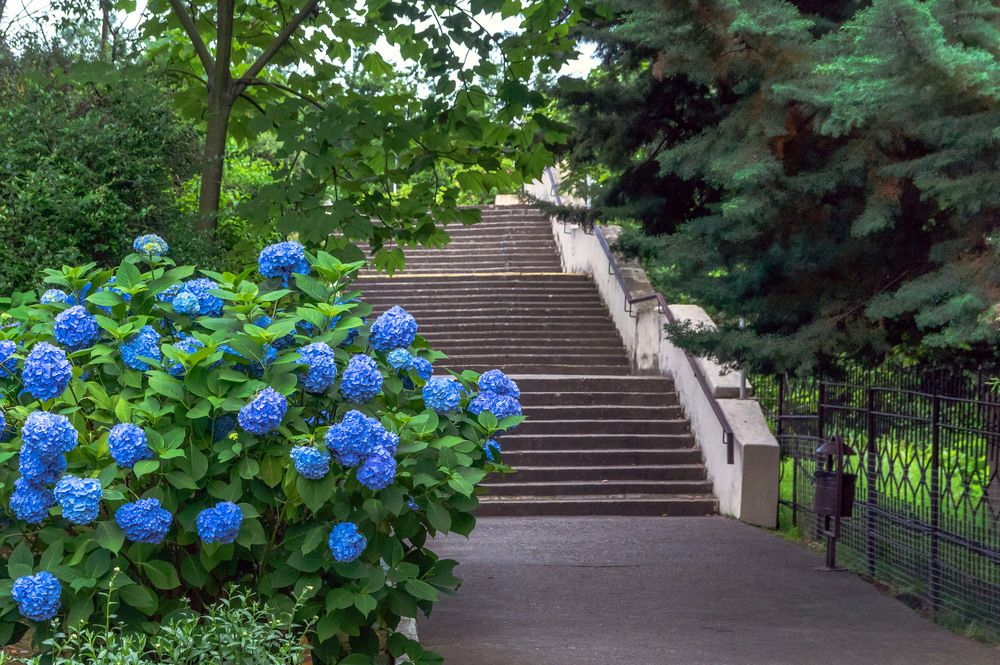 Картинка отеля - 23