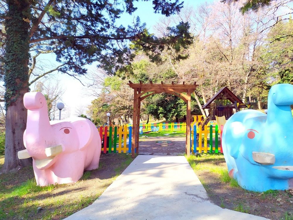 МАГАДАН, санаторий (лечение детей с 5 лет) - 67