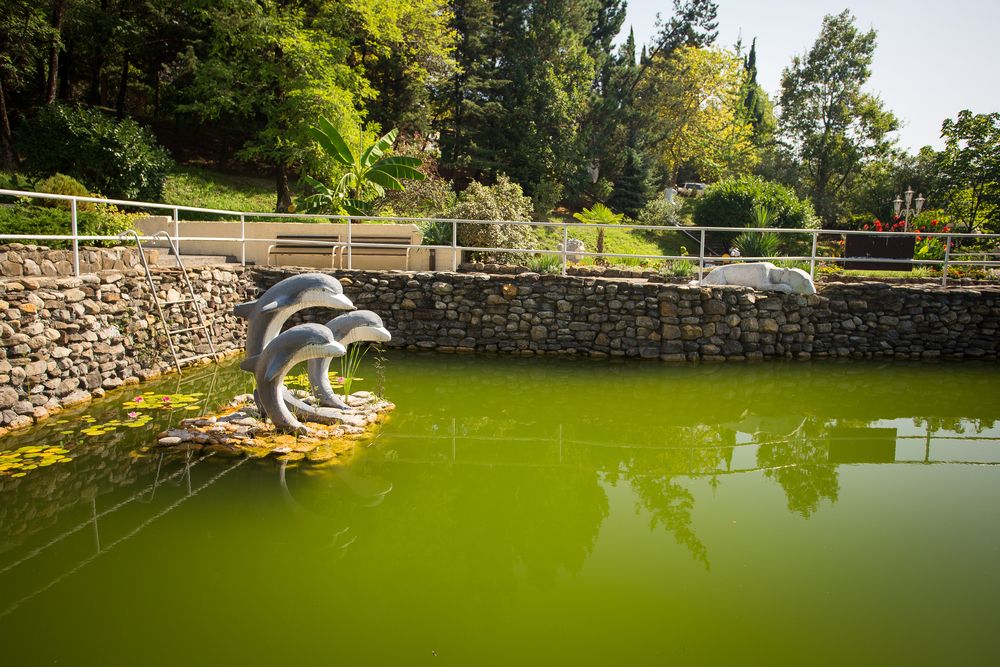 Картинка отеля - 16