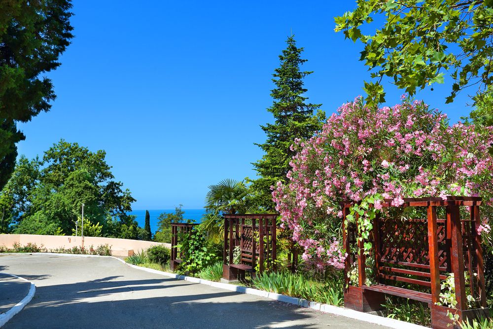 Картинка отеля - 12