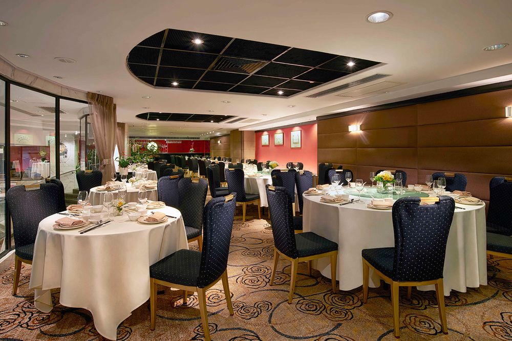 THE CITYVIEW - 7
