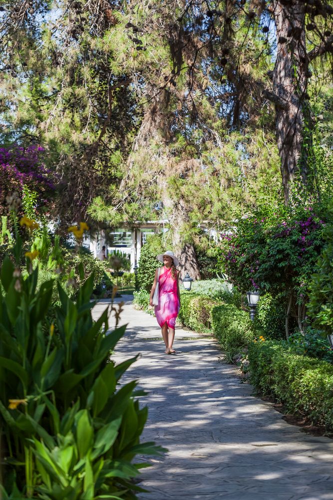 Картинка отеля - 39