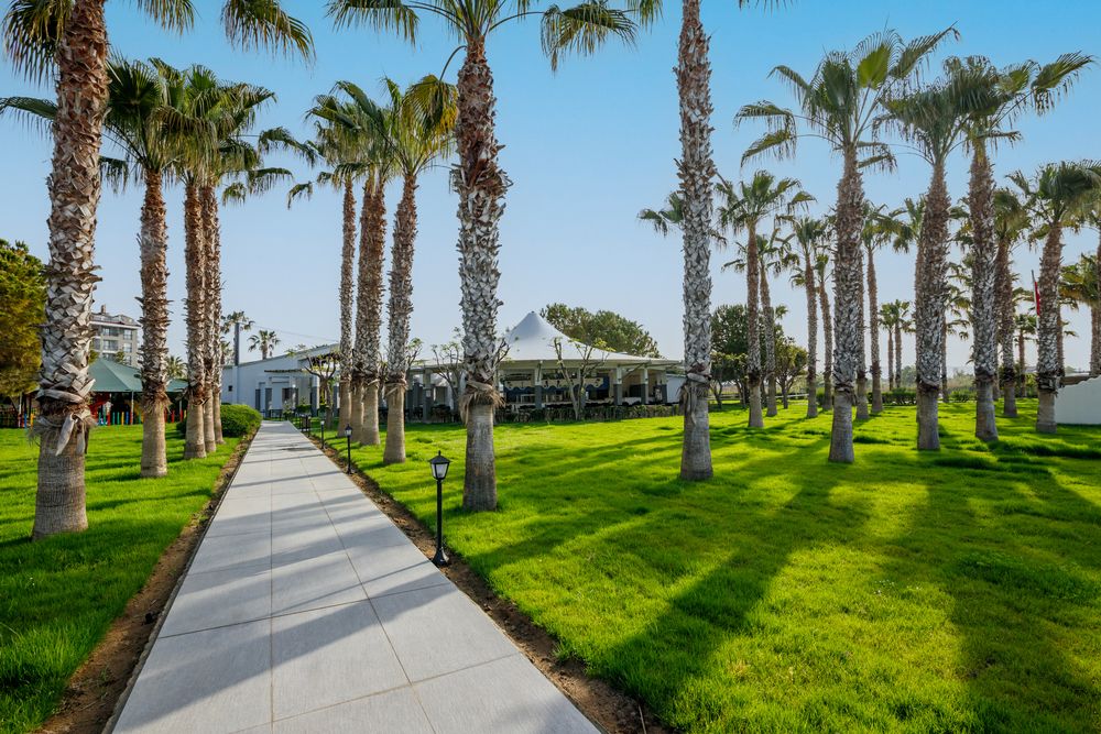 Картинка отеля - 4