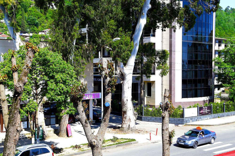 Картинка отеля - 5