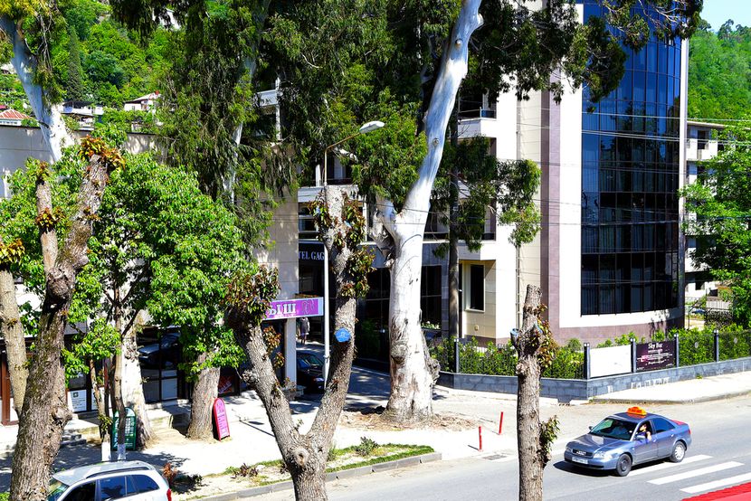 ГАГРА ЛАЗУРНАЯ, гостевой дом - 5