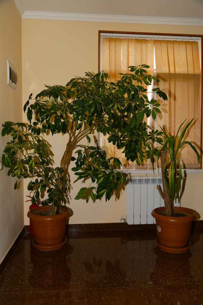 Картинка отеля - 7