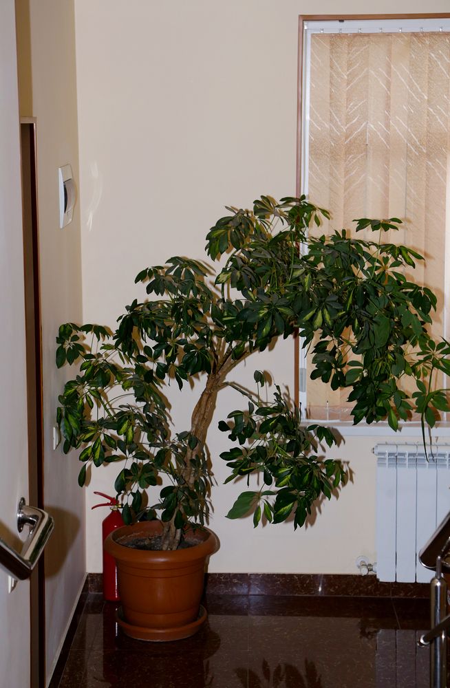 Картинка отеля - 6