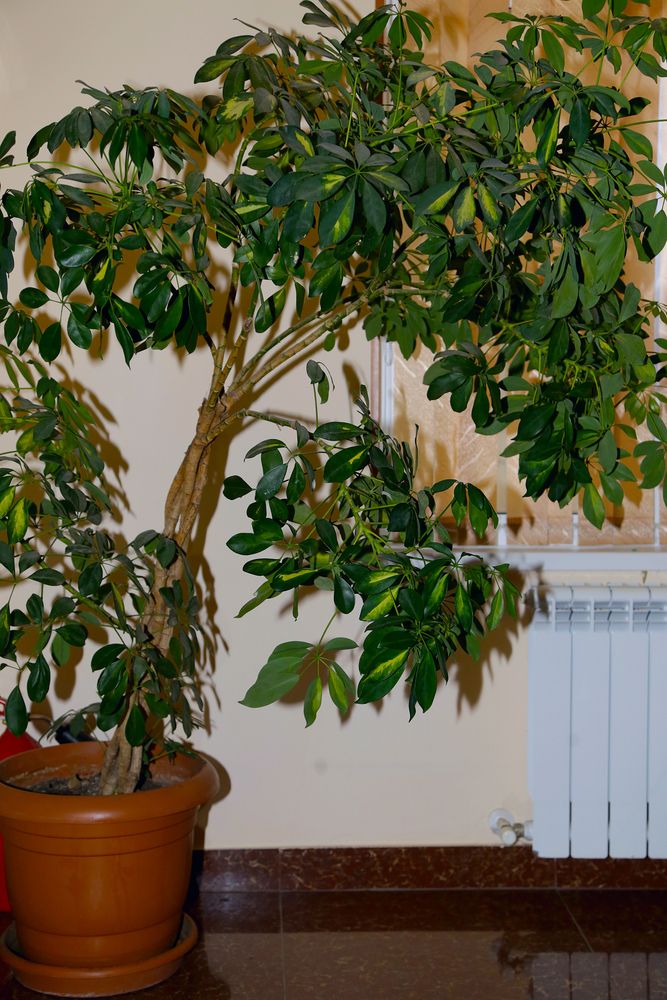 Картинка отеля - 8