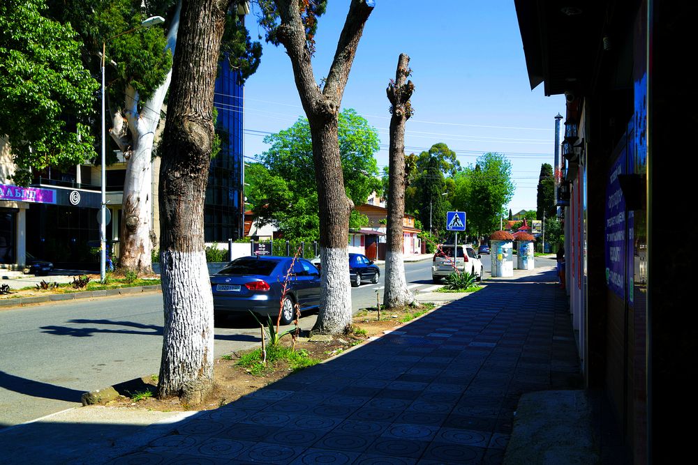 Картинка отеля - 16