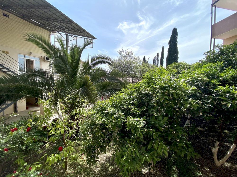 КАЛИПСО, отель эконом - 4