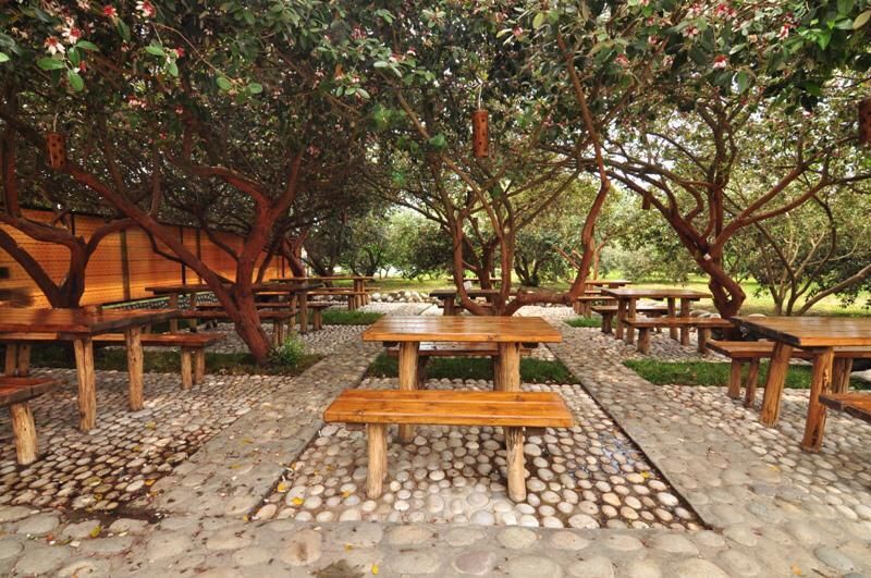 Картинка отеля - 5