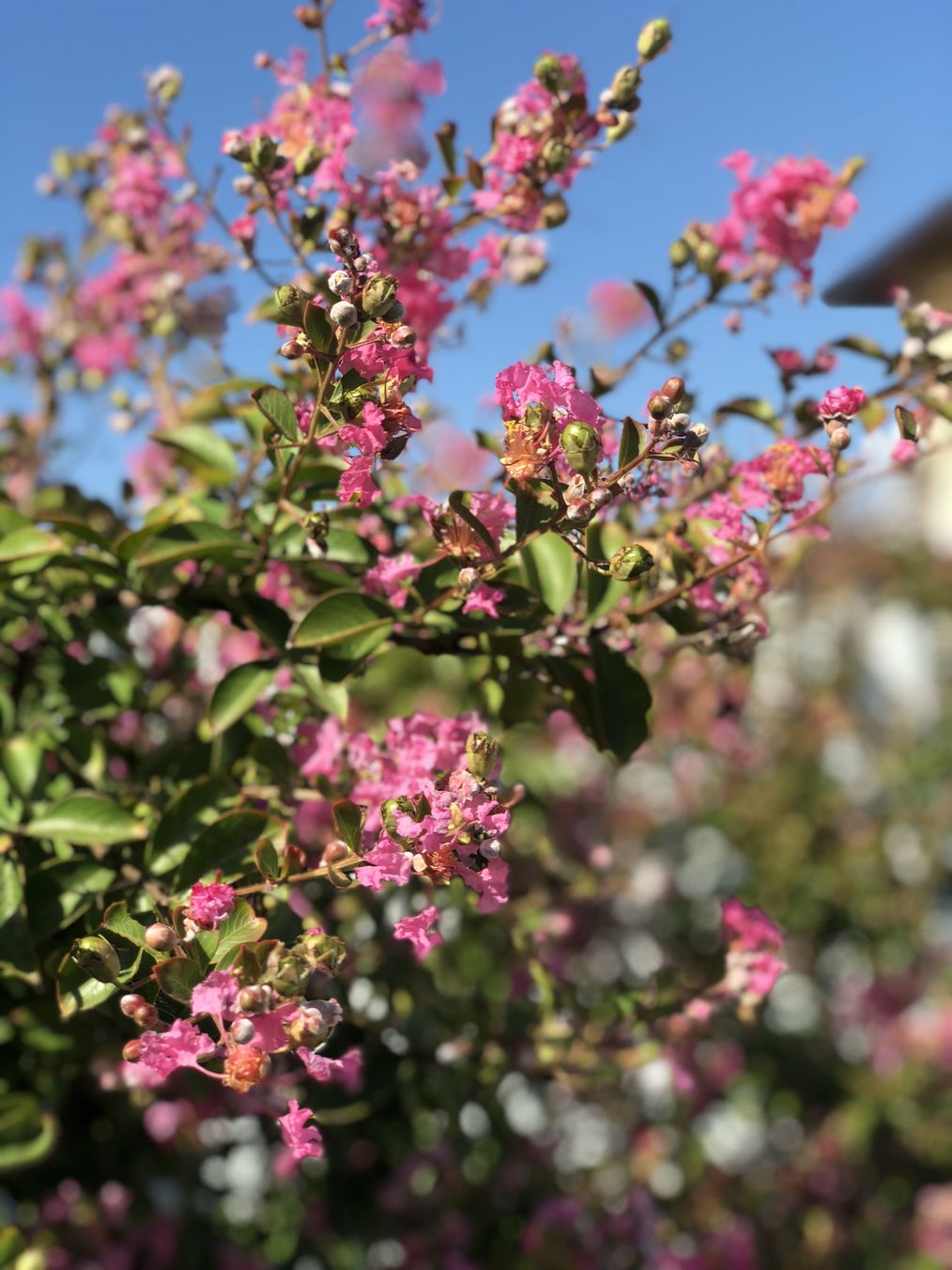 Картинка отеля - 15