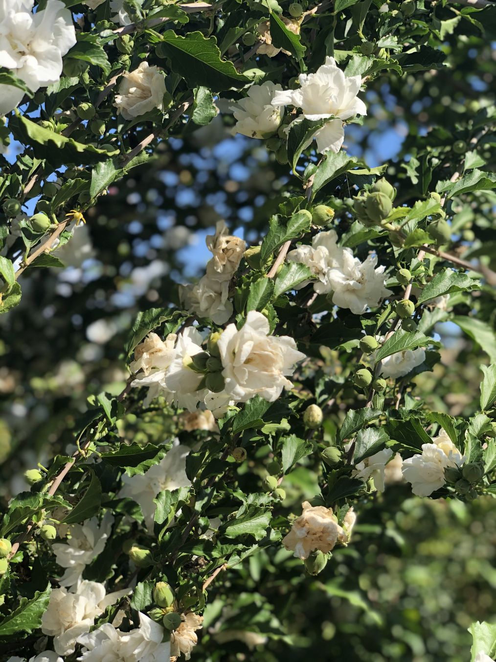 Картинка отеля - 21