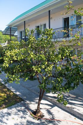 Картинка отеля - 6