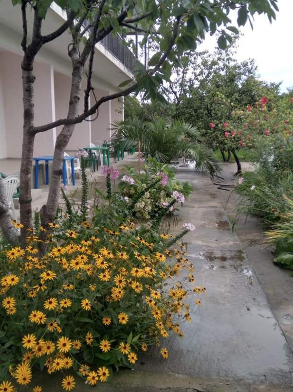 Картинка отеля - 7