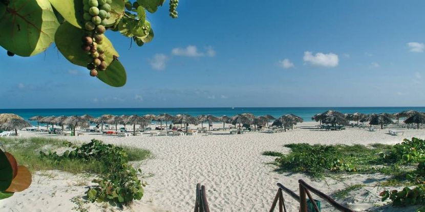 OCCIDENTAL ARENAS BLANCAS - 5