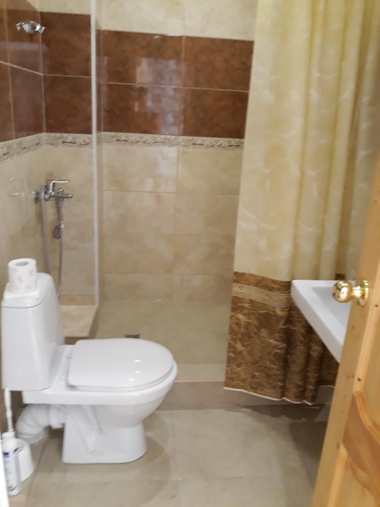 ANNA SARIA GUEST HOUSE (АННА САРИЯ), гостевой дом стандарт - 41