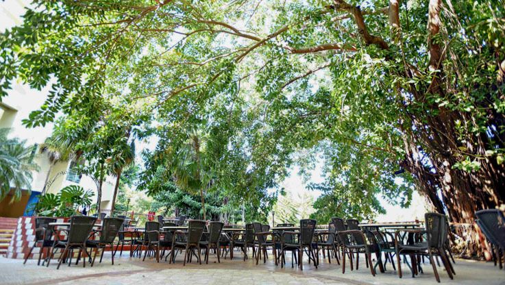 Картинка отеля - 26