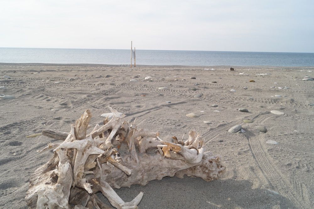 Картинка отеля - 12