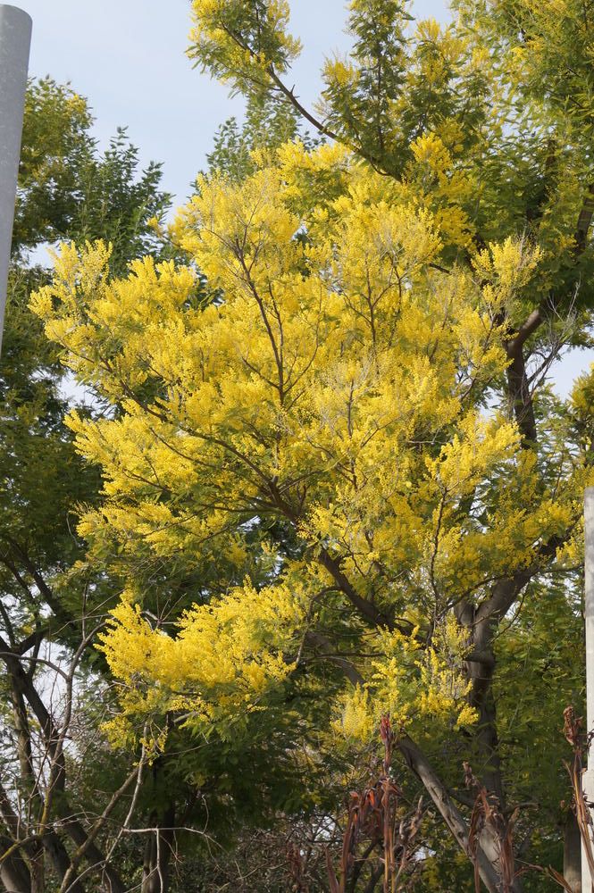 Картинка отеля - 9