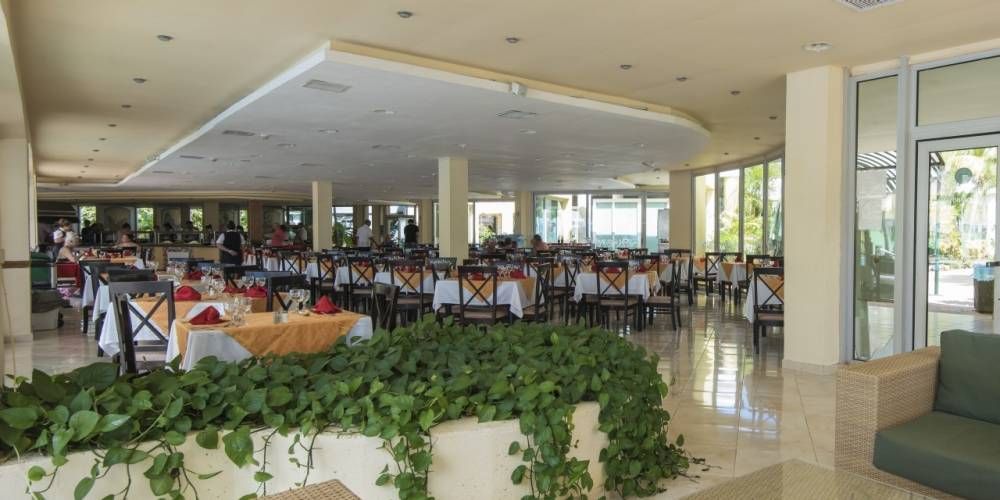 ALLEGRO PALMA REAL - 1