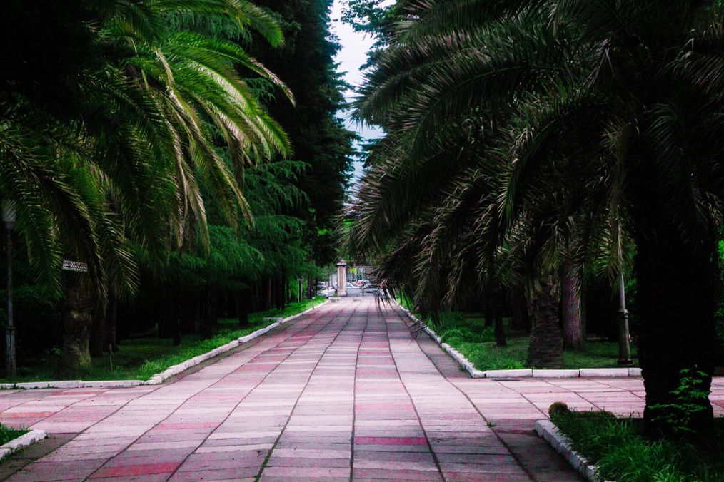 Картинка отеля - 13