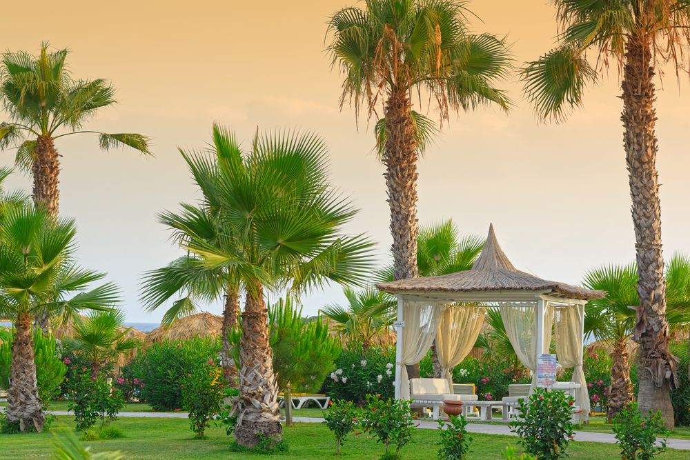 Justiniano Club Park Conti - 42