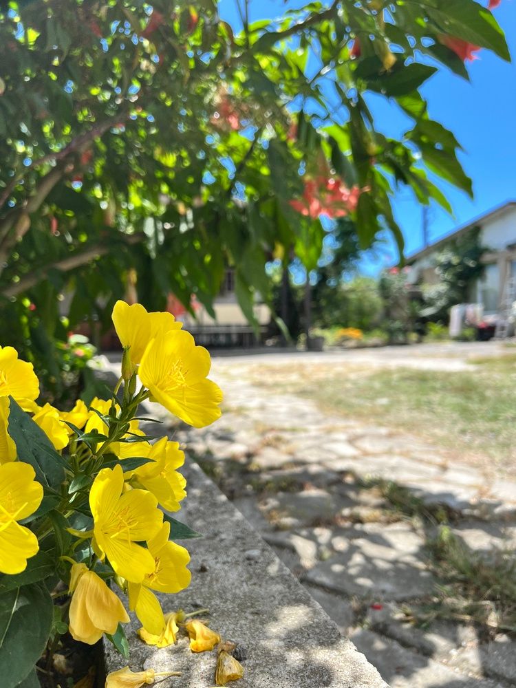 ШАЛЕ У МОРЯ, гостевой дом эконом - 25