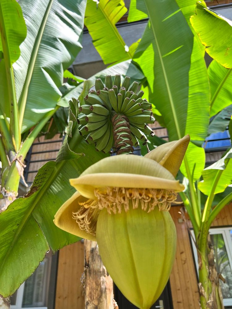 Картинка отеля - 6