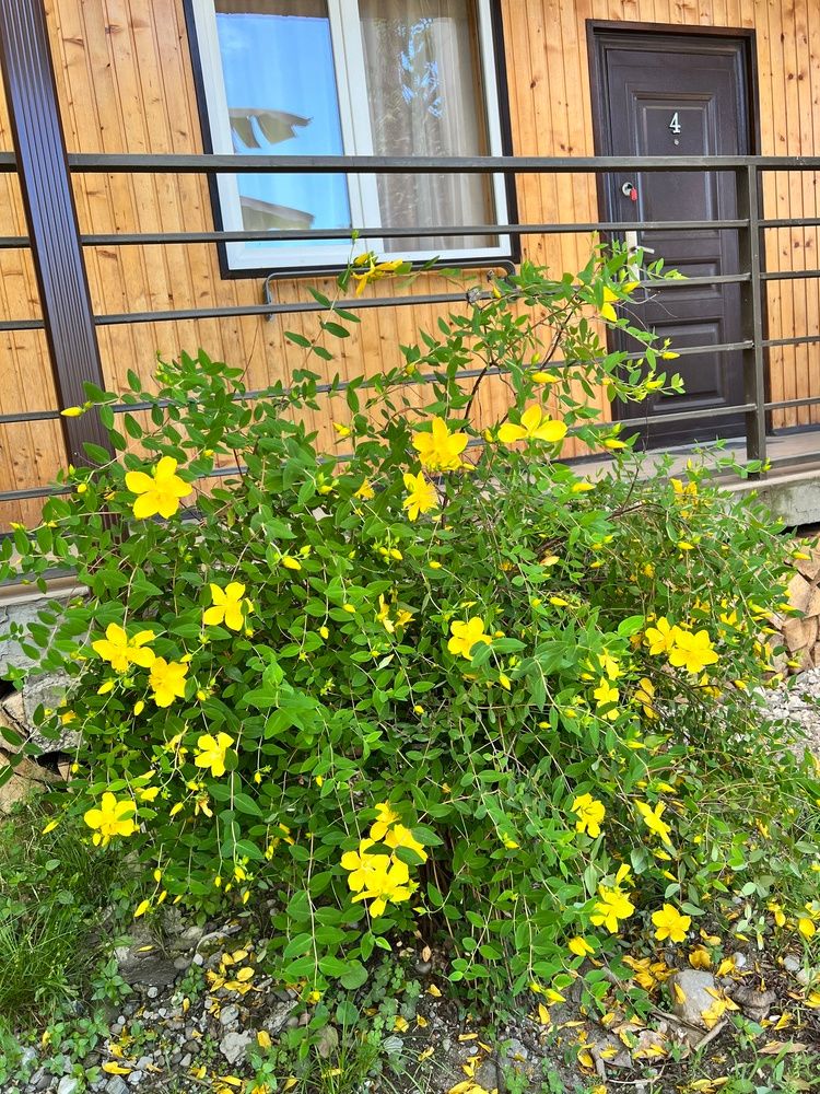 ШАЛЕ У МОРЯ, гостевой дом эконом - 8