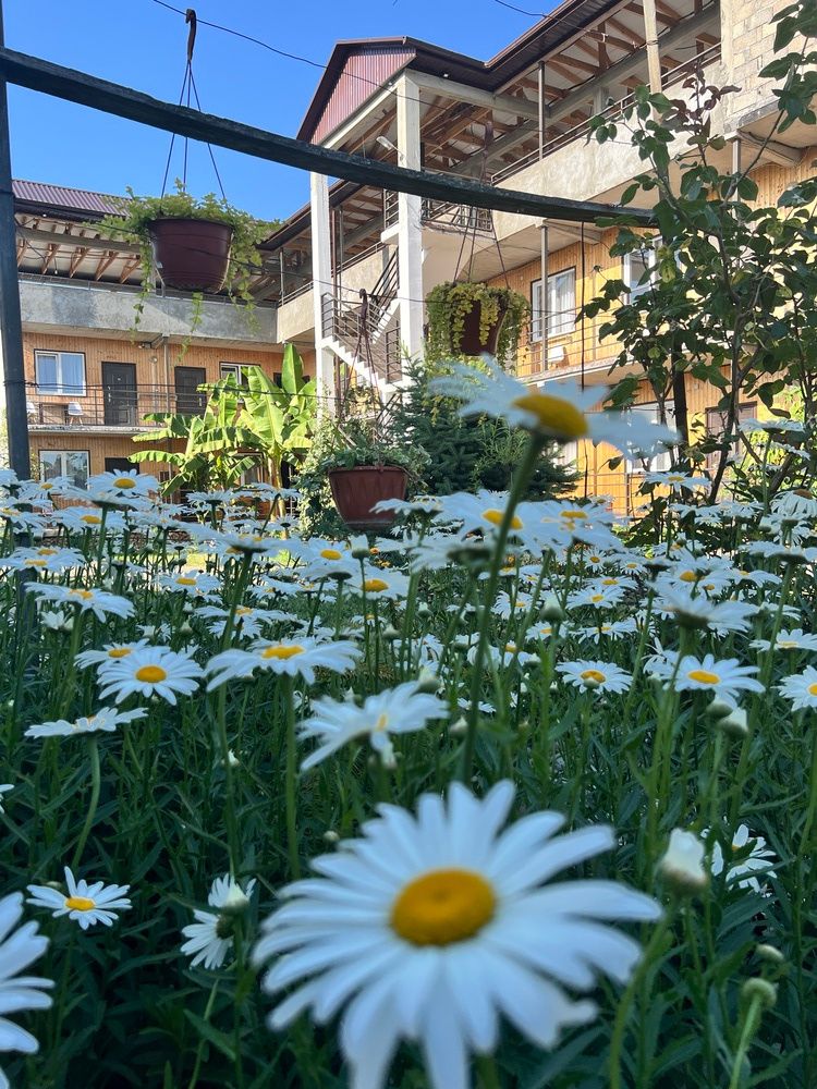 ШАЛЕ У МОРЯ, гостевой дом эконом - 4