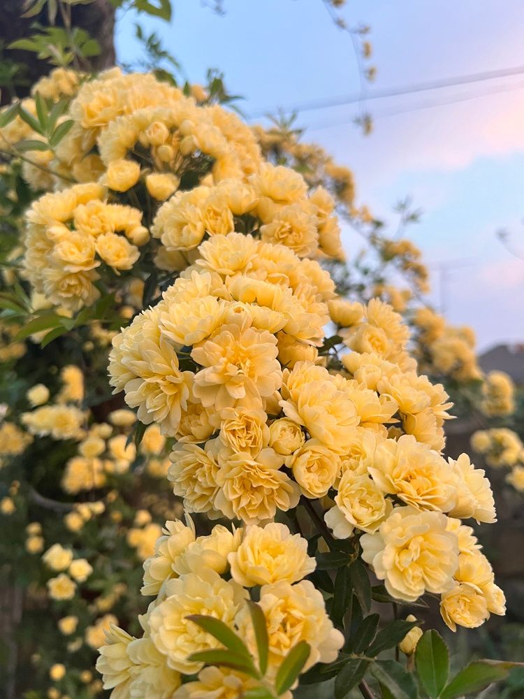 Картинка отеля - 7