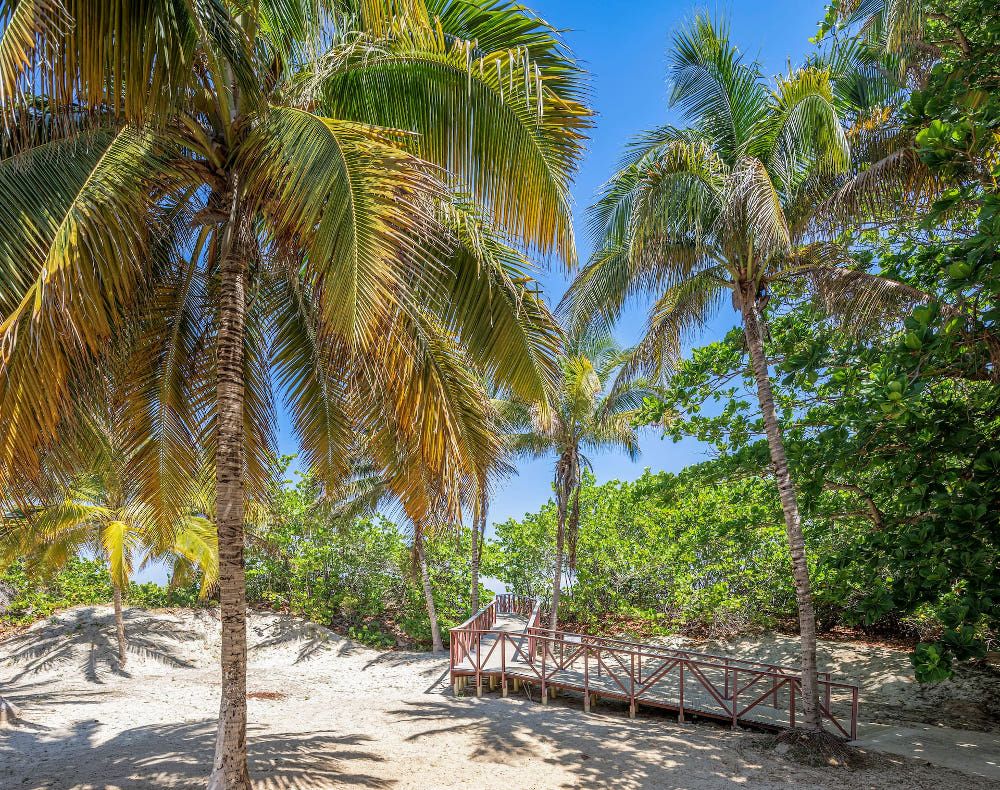 SOL CARIBE BEACH (ex. SOL SIRENAS CORAL) - 21