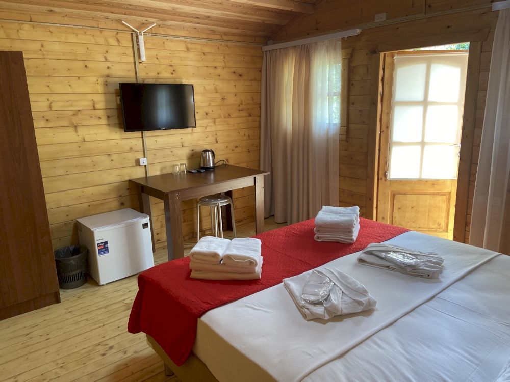 ГРАНД ОТЕЛЬ АБХАЗИЯ, отель комфорт - 9