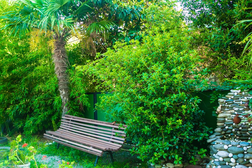 Картинка отеля - 11