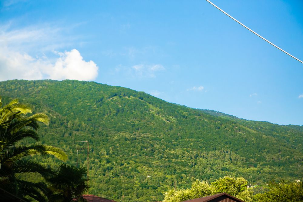 Картинка отеля - 5