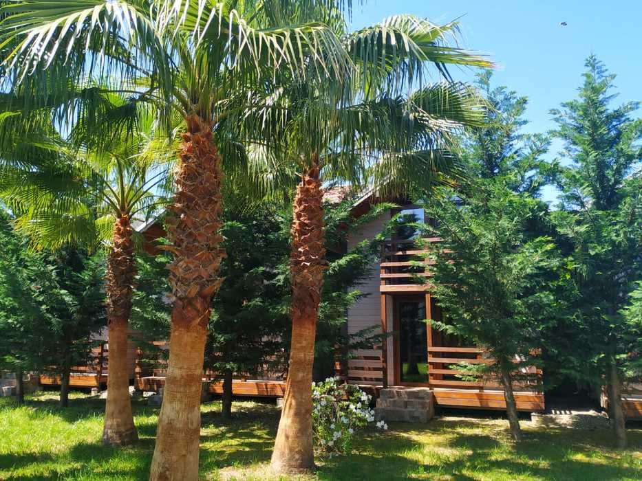 Картинка отеля - 8