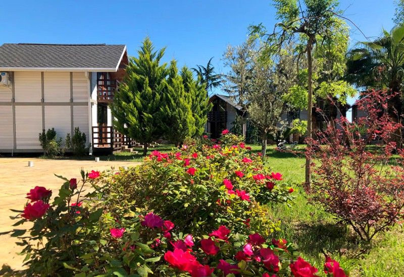 Картинка отеля - 2