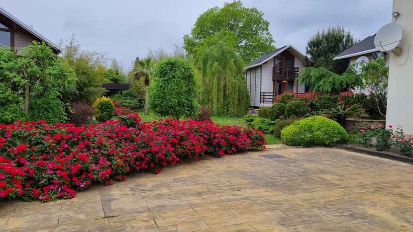 FAMILY CLUB HAPPY LAND (ХЭППИ ЛЭНД), отель эконом - 6