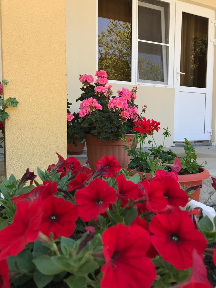 Картинка отеля - 4