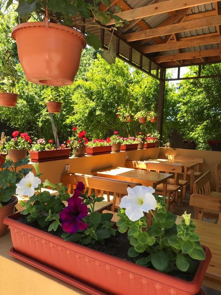 Картинка отеля - 3