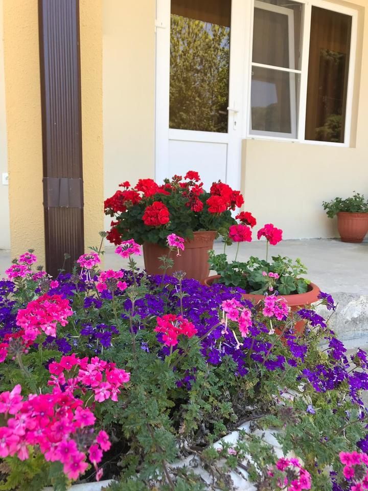 Картинка отеля - 6