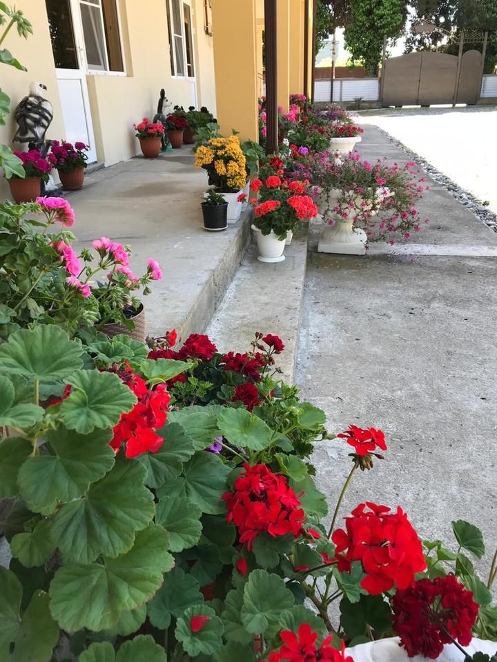 Картинка отеля - 5