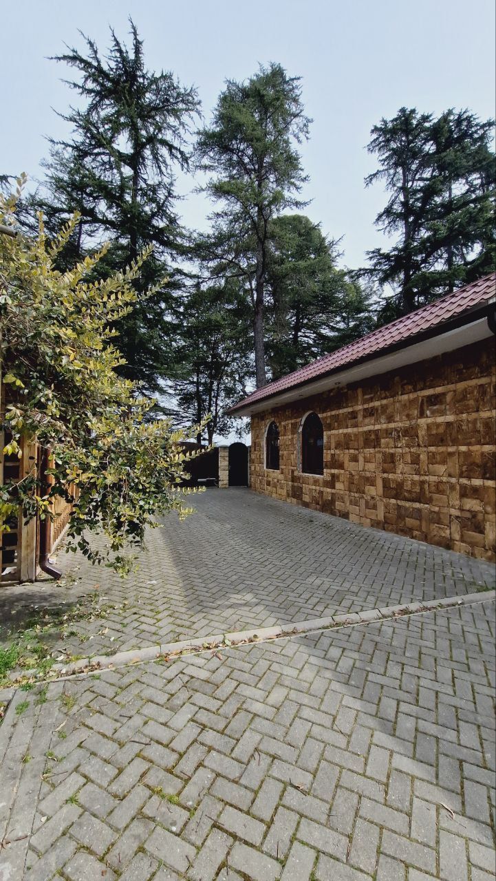 Картинка отеля - 5