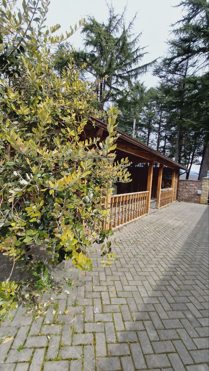 Картинка отеля - 8