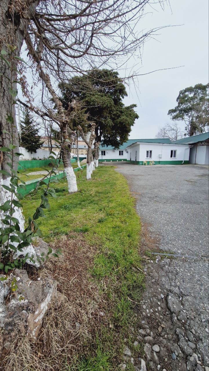 Картинка отеля - 2