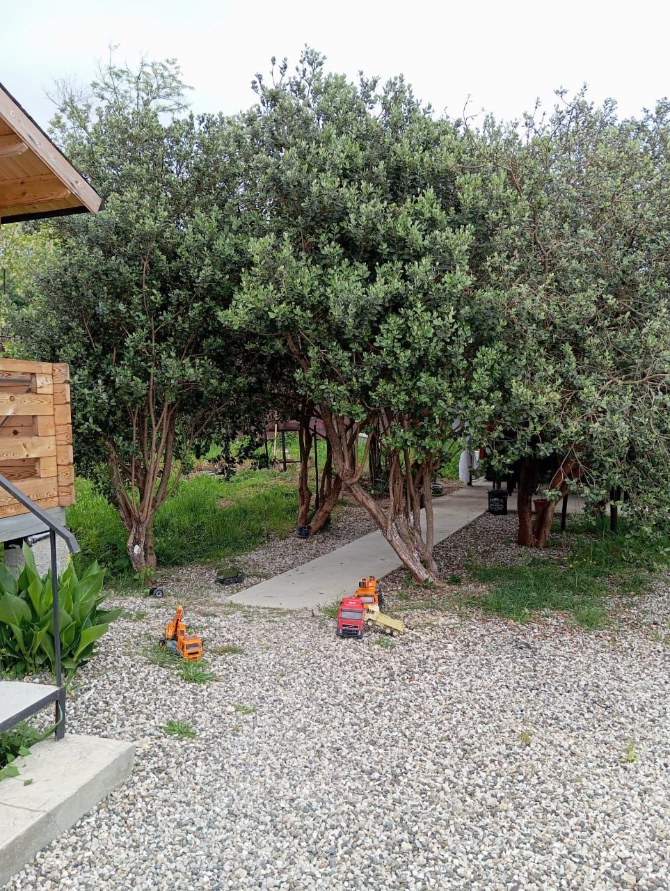 Картинка отеля - 17