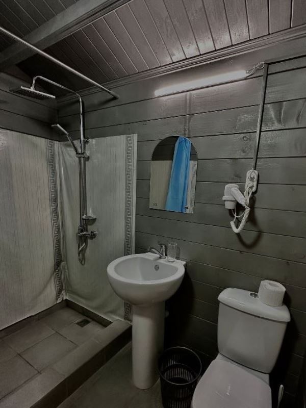 Картинка отеля - 29